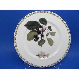 2 Queens Fine China Hookers Fruit Royal Horticultural Society 8.5" Salad Plates